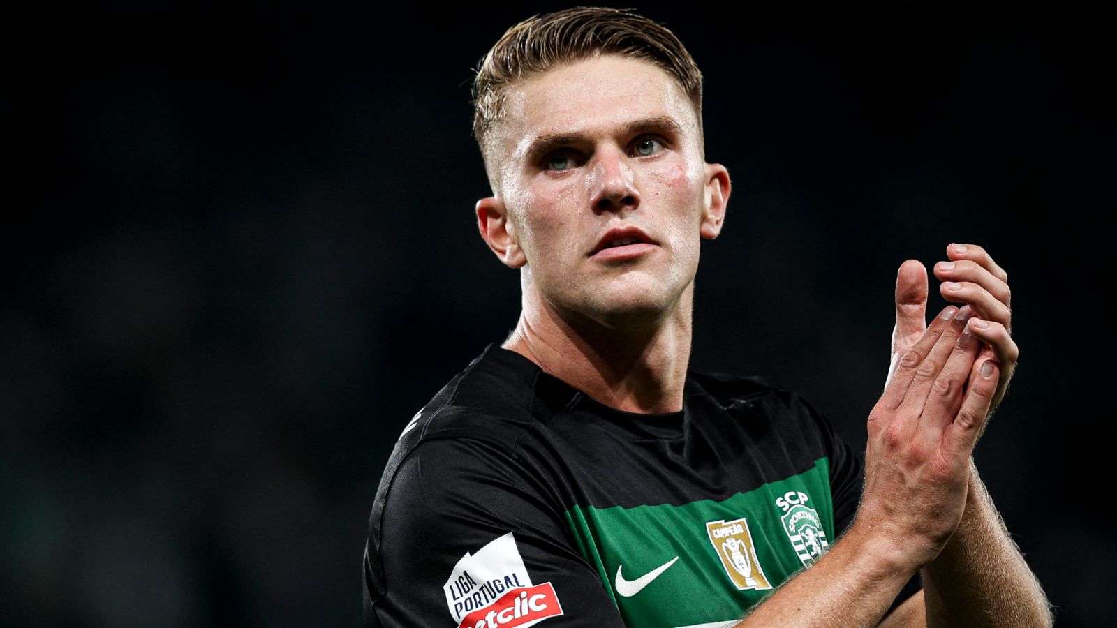 处于主导地 处于主导地