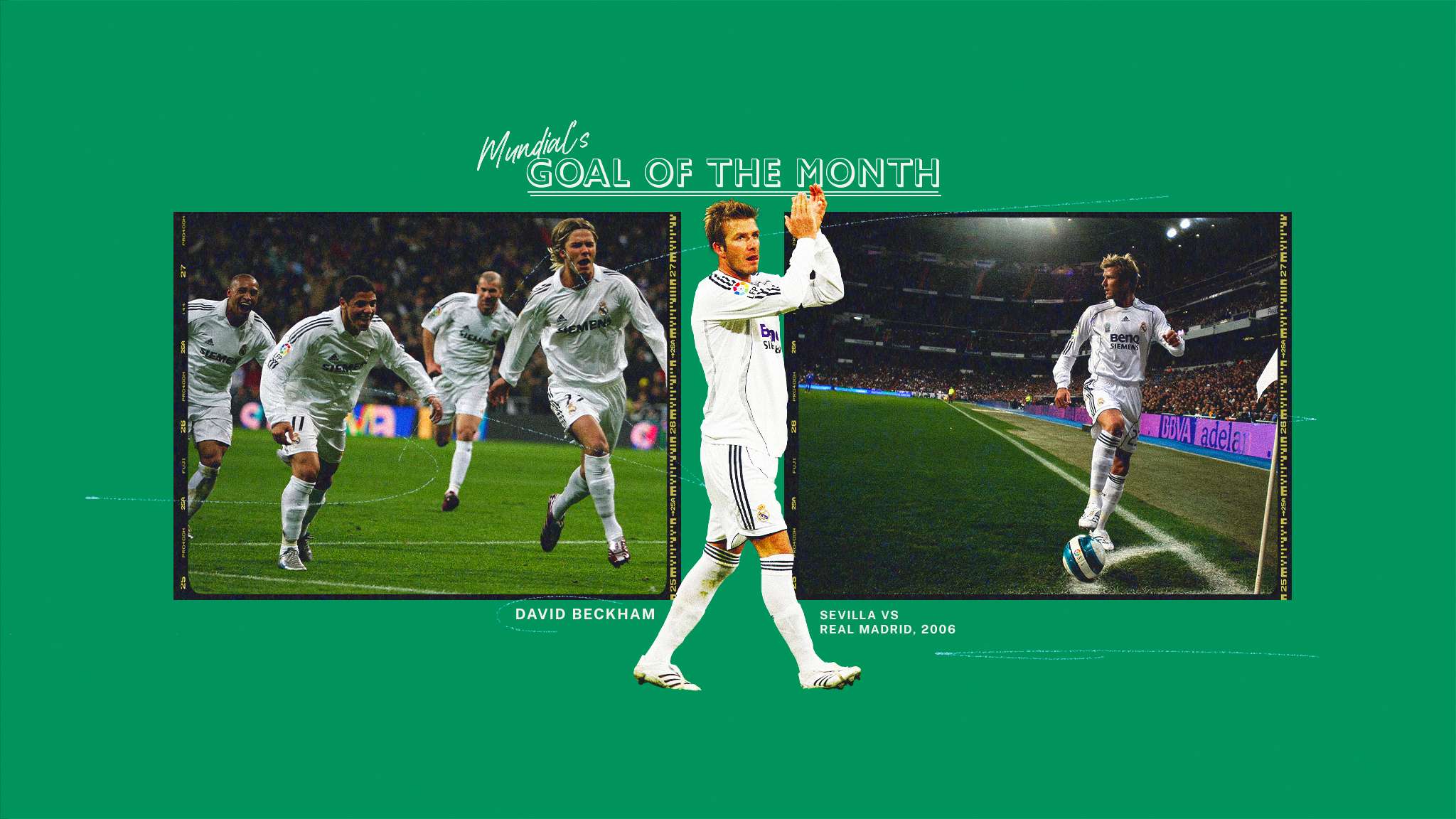 荣誉的丰厚 荣誉的丰厚